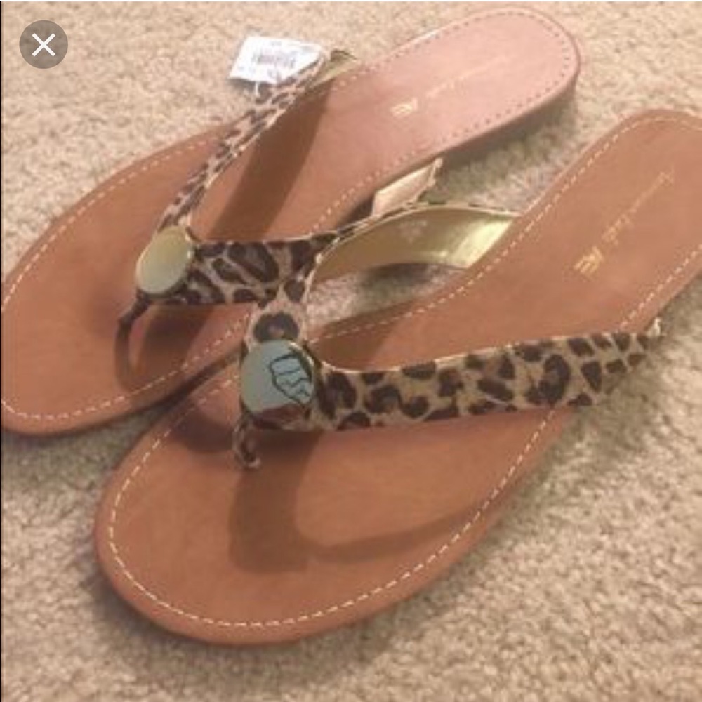 ISO Size 8 or 8.5